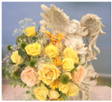 �ץꥶ���֥ɥե� �����ȥե�����󥸥���