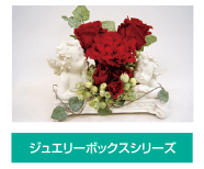 �t�@���^�W�[�V���[�Y